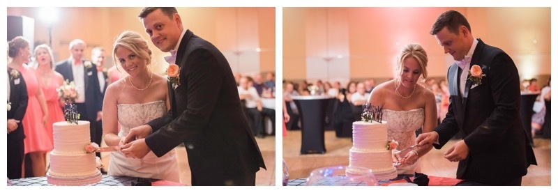 Bride and Groom cake cutting